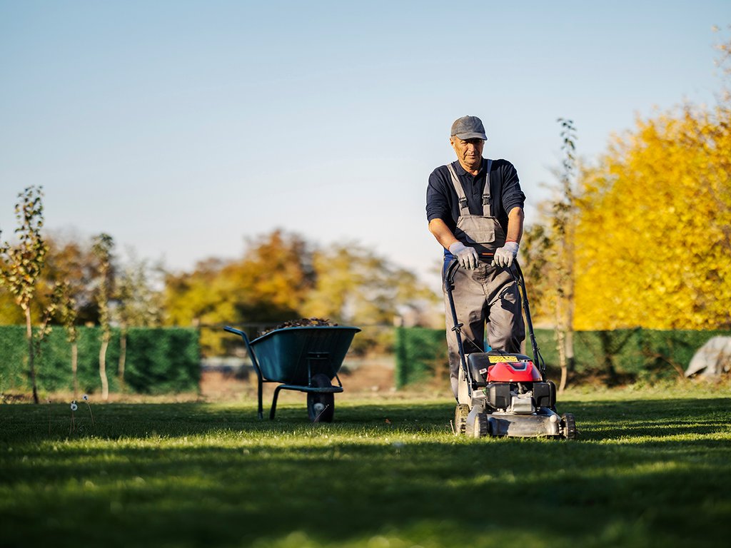 Gartenpflege bei Mönig Immobilienmanagement