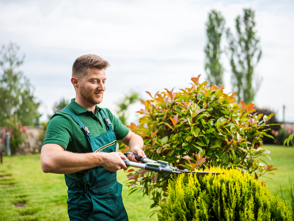 Gartenpflege bei Mönig Immobilienmanagement